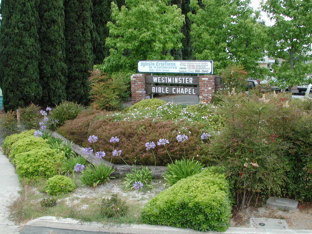 Dscn0616.jpg (176479 bytes)